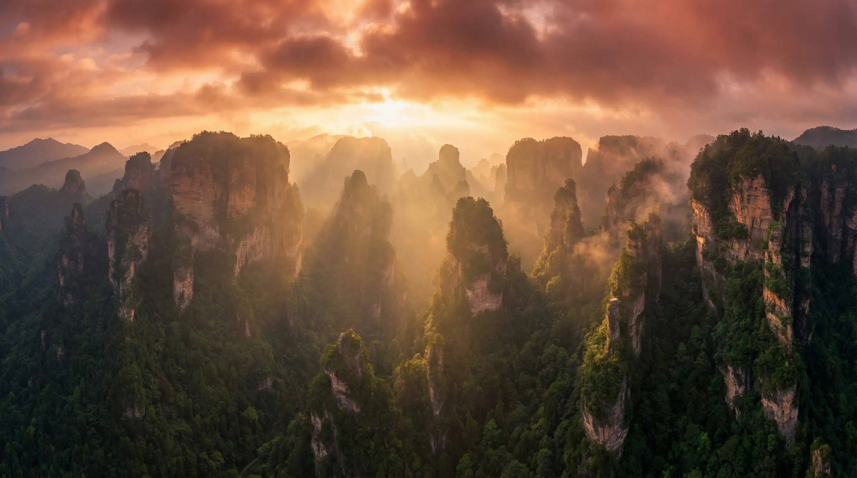 cilimao.click 自然风光视频封面